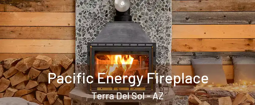 Pacific Energy Fireplace Terra Del Sol - AZ