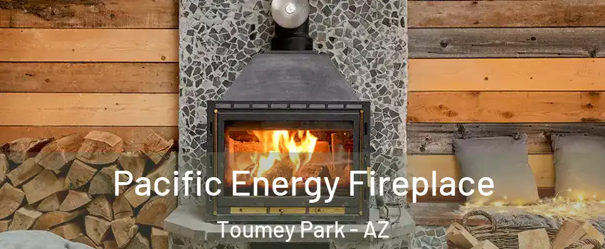 Pacific Energy Fireplace Toumey Park - AZ