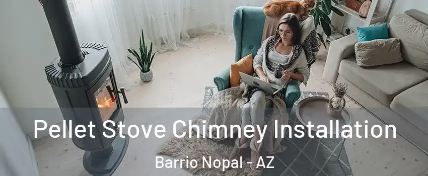 Pellet Stove Chimney Installation Barrio Nopal - AZ