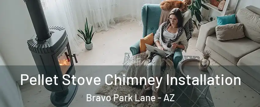 Pellet Stove Chimney Installation Bravo Park Lane - AZ