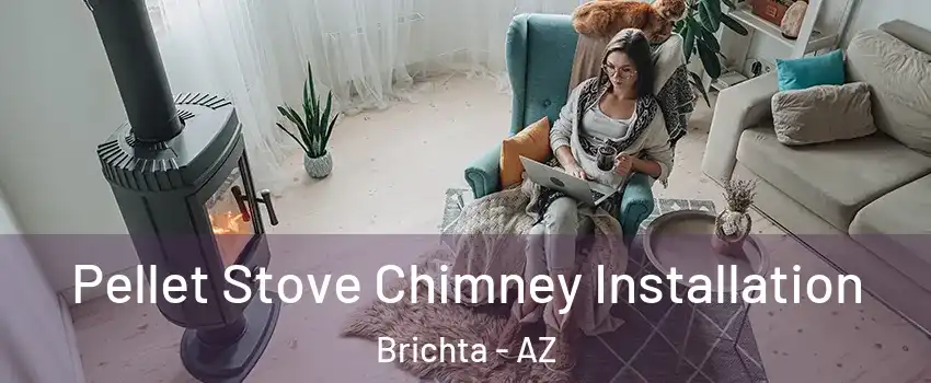 Pellet Stove Chimney Installation Brichta - AZ
