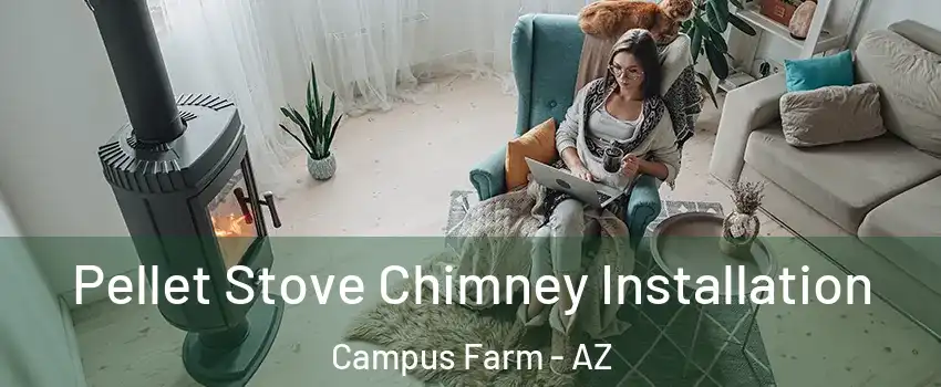 Pellet Stove Chimney Installation Campus Farm - AZ