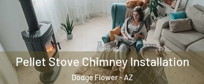 Pellet Stove Chimney Installation Dodge Flower - AZ