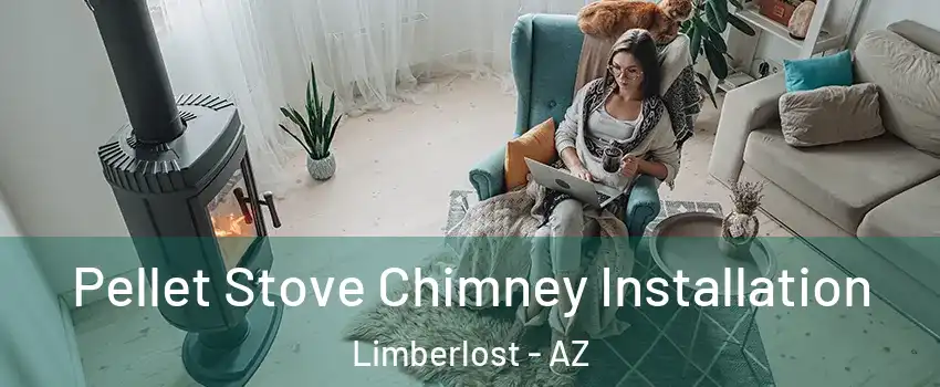 Pellet Stove Chimney Installation Limberlost - AZ