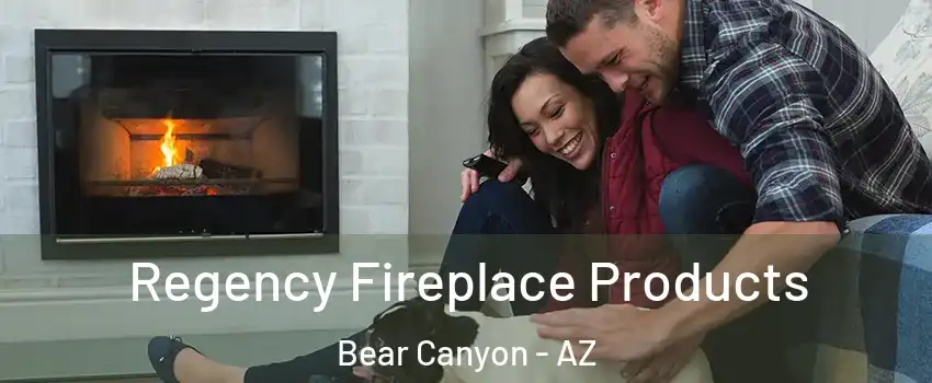 Regency Fireplace Products Bear Canyon - AZ