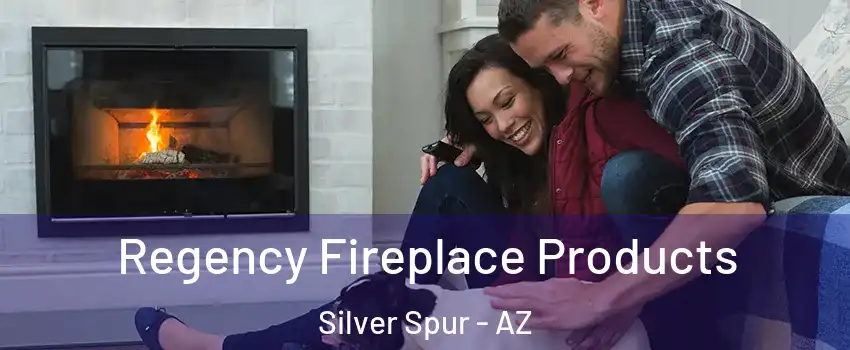 Regency Fireplace Products Silver Spur - AZ