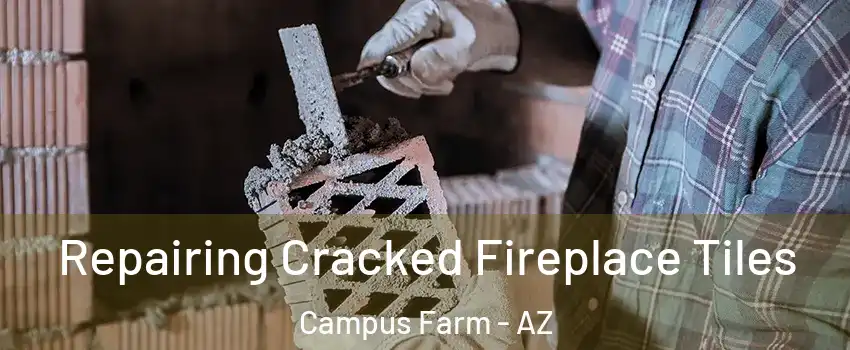 Repairing Cracked Fireplace Tiles Campus Farm - AZ