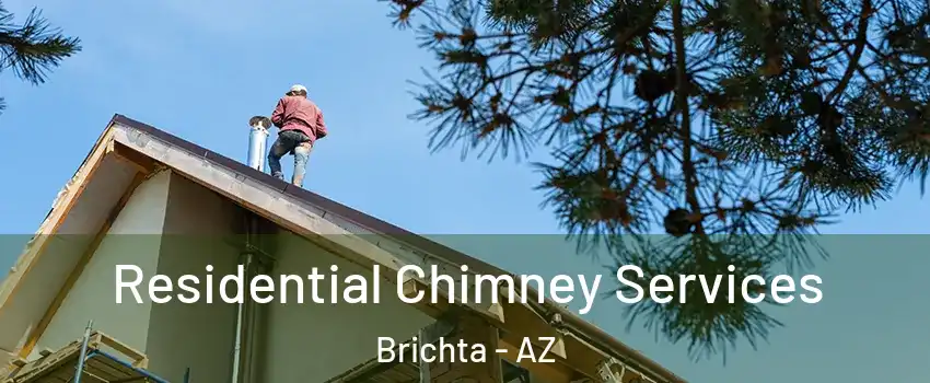 Residential Chimney Services Brichta - AZ