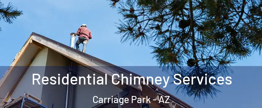 Residential Chimney Services Carriage Park - AZ