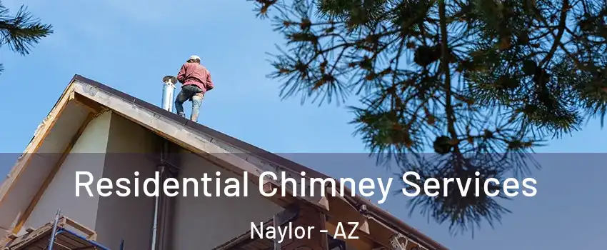 Residential Chimney Services Naylor - AZ