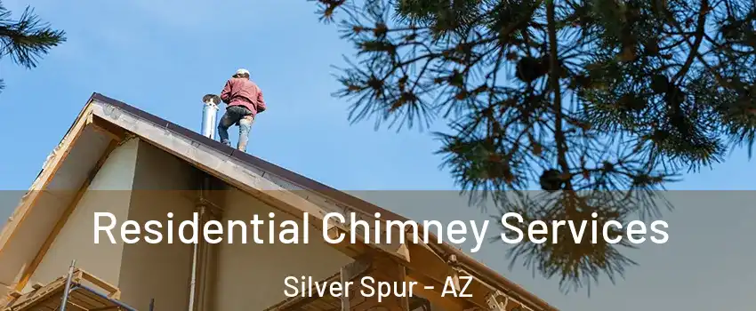 Residential Chimney Services Silver Spur - AZ