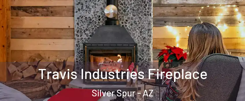 Travis Industries Fireplace Silver Spur - AZ