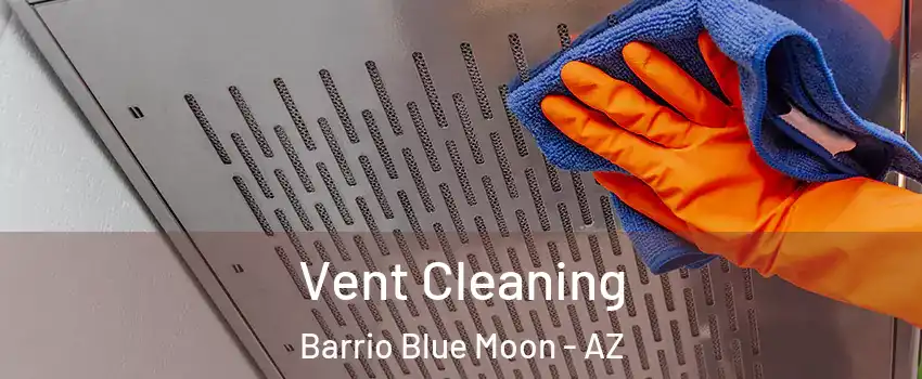 Vent Cleaning Barrio Blue Moon - AZ