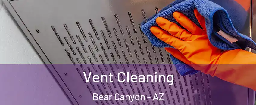Vent Cleaning Bear Canyon - AZ