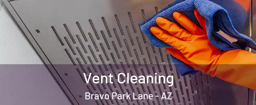 Vent Cleaning Bravo Park Lane - AZ