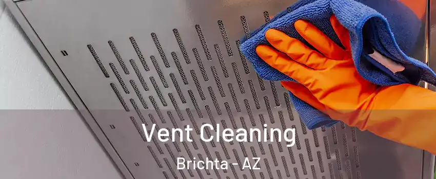 Vent Cleaning Brichta - AZ