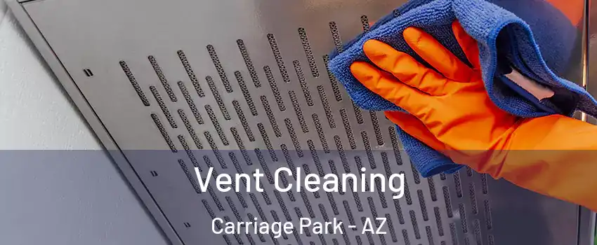 Vent Cleaning Carriage Park - AZ