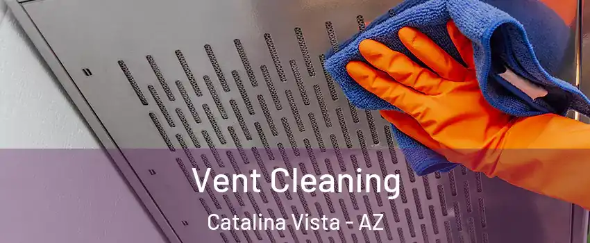 Vent Cleaning Catalina Vista - AZ