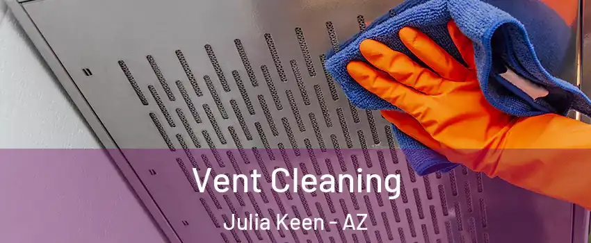 Vent Cleaning Julia Keen - AZ