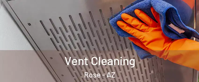 Vent Cleaning Rose - AZ