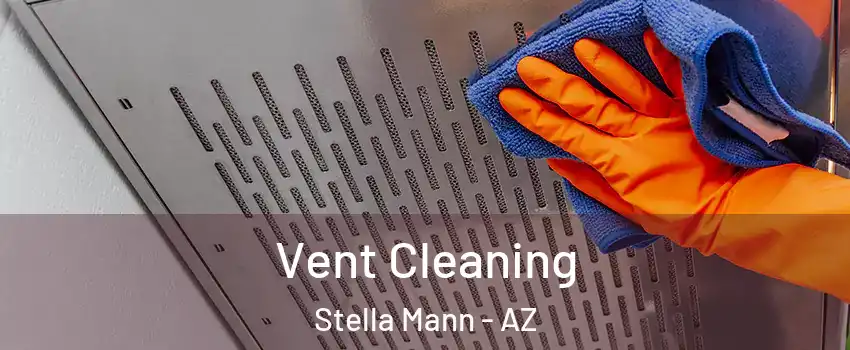 Vent Cleaning Stella Mann - AZ