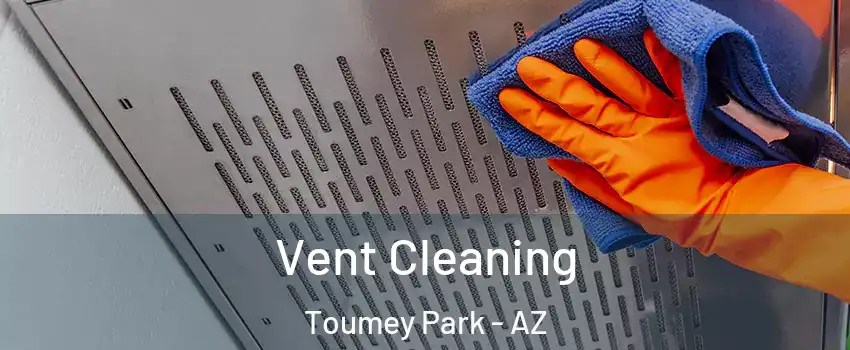 Vent Cleaning Toumey Park - AZ