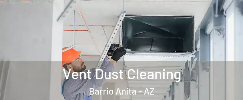 Vent Dust Cleaning Barrio Anita - AZ