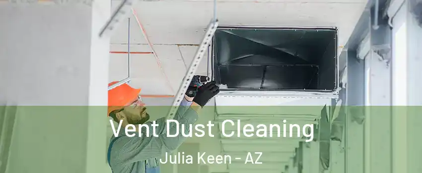 Vent Dust Cleaning Julia Keen - AZ