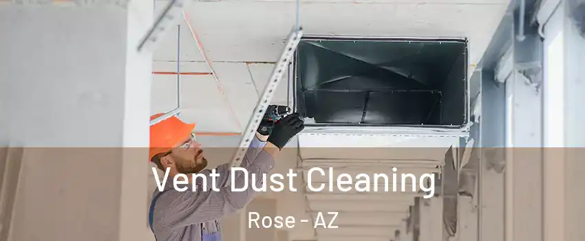 Vent Dust Cleaning Rose - AZ