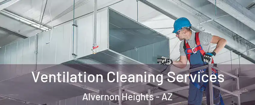 Ventilation Cleaning Services Alvernon Heights - AZ