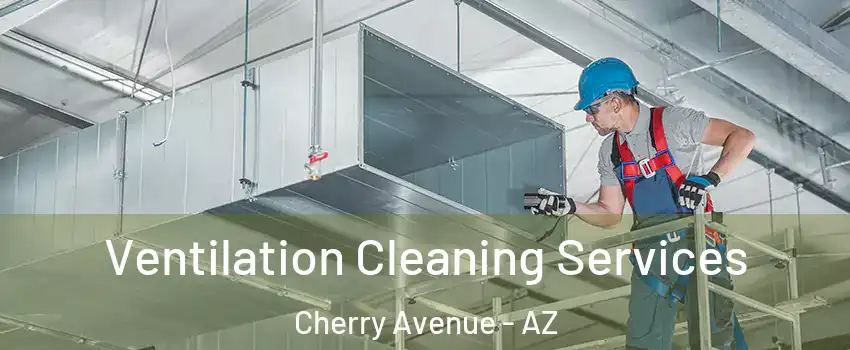 Ventilation Cleaning Services Cherry Avenue - AZ