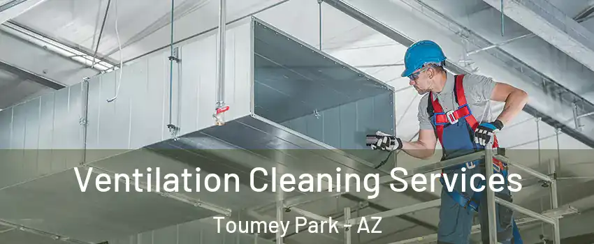 Ventilation Cleaning Services Toumey Park - AZ