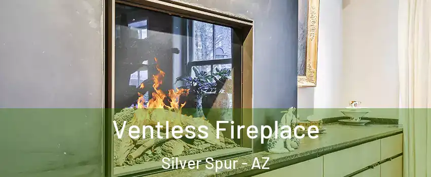 Ventless Fireplace Silver Spur - AZ