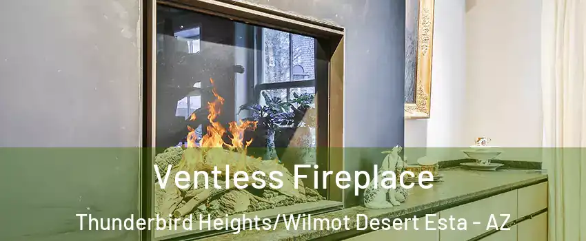 Ventless Fireplace Thunderbird Heights/Wilmot Desert Esta - AZ