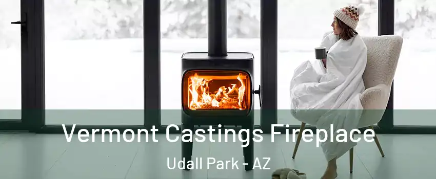 Vermont Castings Fireplace Udall Park - AZ