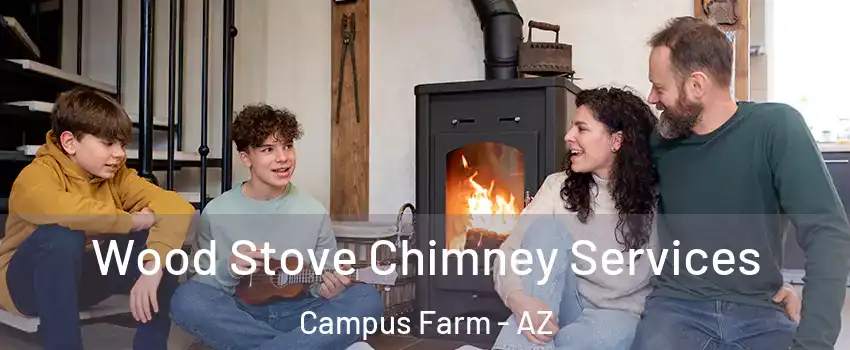 Wood Stove Chimney Services Campus Farm - AZ