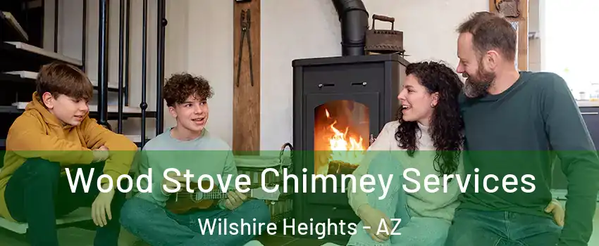 Wood Stove Chimney Services Wilshire Heights - AZ