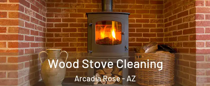 Wood Stove Cleaning Arcadia Rose - AZ