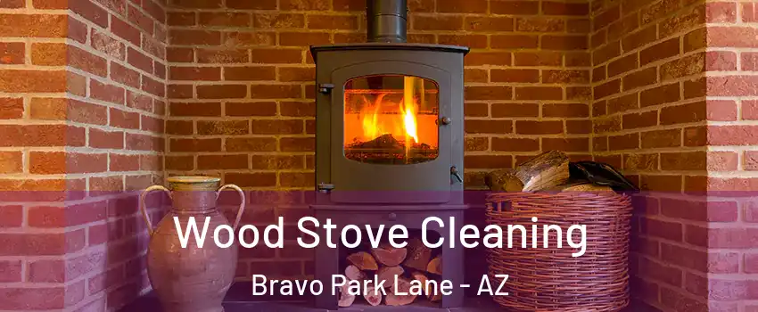 Wood Stove Cleaning Bravo Park Lane - AZ
