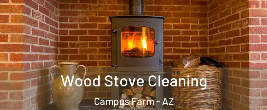 Wood Stove Cleaning Campus Farm - AZ