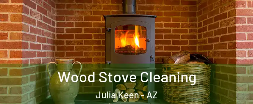 Wood Stove Cleaning Julia Keen - AZ