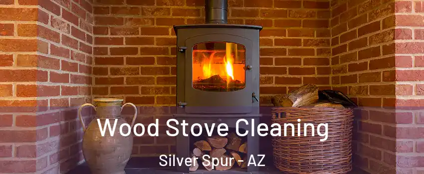 Wood Stove Cleaning Silver Spur - AZ